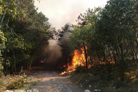 RAZGLAŠENA VELIKA POŽARNA OGROŽENOST NARAVNEGA OKOLJA
