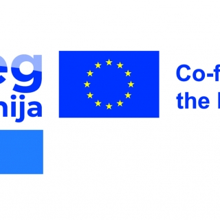 Gasilska enota Nova Gorica Gasilska enota Nova Gorica